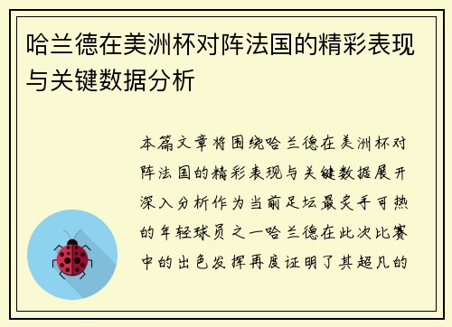 哈兰德在美洲杯对阵法国的精彩表现与关键数据分析